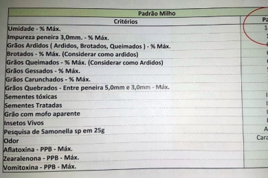 8 Passos importantes para melhoria do produto extrusado