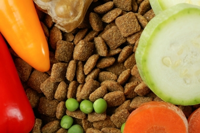 Tendências 2020 para a indústria de Pet Food - Editora Stilo