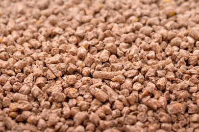 Conheça os principais processos de produção de ração animal
