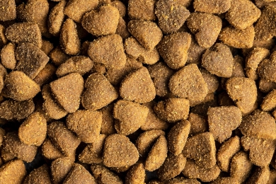   Rações: o robusto segmento pet food