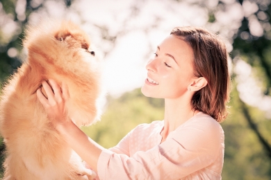 Mercado pet deve crescer 13% em 2020, puxado por pet food e produtos veterinários - Editora Stilo