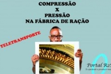 Compressão x Pressão na Fábrica de Ração | Rafael Resende Silva