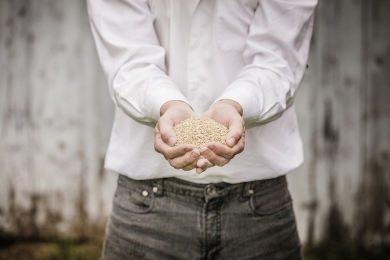  Confira as dicas de nutrição animal para ter um melhor desempenho