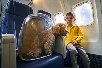 Como levar cachorro no avião