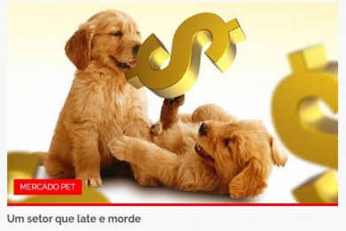 UM SETOR QUE LATE E MORDE - EDITORA STILO