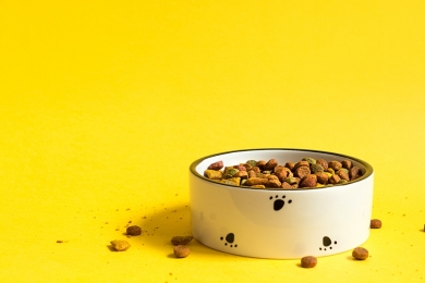 Preços de rações de pets aumentam até 30% em 2021
