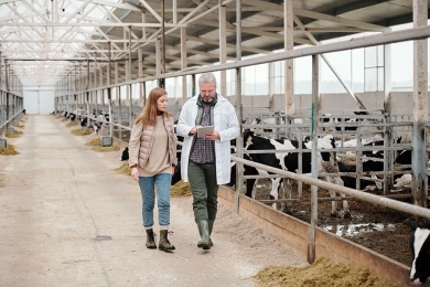 Agropecuária apresenta aumento no PIB brasileiro
