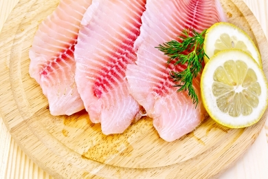 TILÁPIA MANTÉM RITMO DE CRESCIMENTO E JÁ REPRESENTA 63,5% DA PRODUÇÃO NO PAÍS | ANUÁRIO PEIXE BR