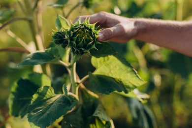 Instituições assinam acordo em apoio ao agro brasileiro