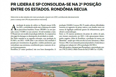 PR LIDERA E SP CONSOLIDA-SE NA 2ª POSIÇÃO ENTRE OS ESTADOS. RONDÔNIA RECUA - PEIXE BR