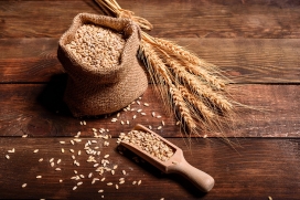 Produção de grãos pode chegar a 270,2 milhões de toneladas