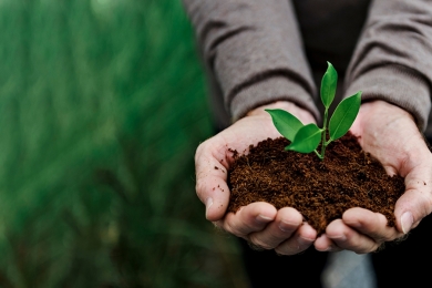 Sustentabilidade no agro vira destaque em conferência global
