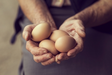 Junho marca período de vendas robustas de ovos em SP