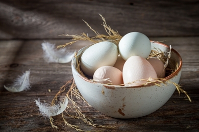 Preços dos ovos apresentam recuo em São Paulo
