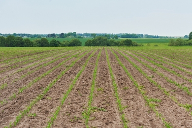  AgroBR auxilia produtores rurais a alavancarem exportações de produtos da agropecuária