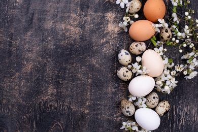 Mercado paulista de ovos renova recorde real