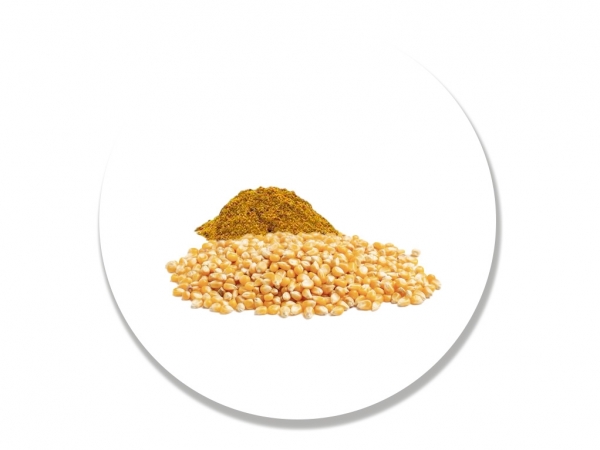 O DDG (Dried Distillers Grains), ou grãos secos de destilaria, é um produto obtido no processo de produção de etanol a partir do milho.