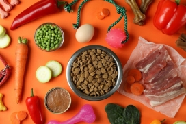 PET FOOD SOB CONTROLE 