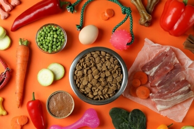 PET FOOD SOB CONTROLE 