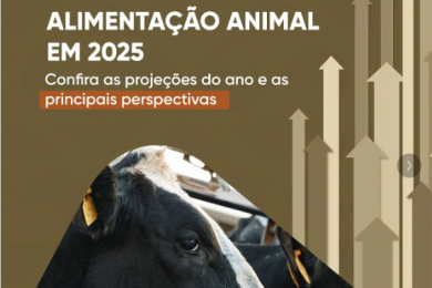 Produção de rações deve ultrapassar 90 milhões de toneladas em 2025 e reforça papel estratégico do setor